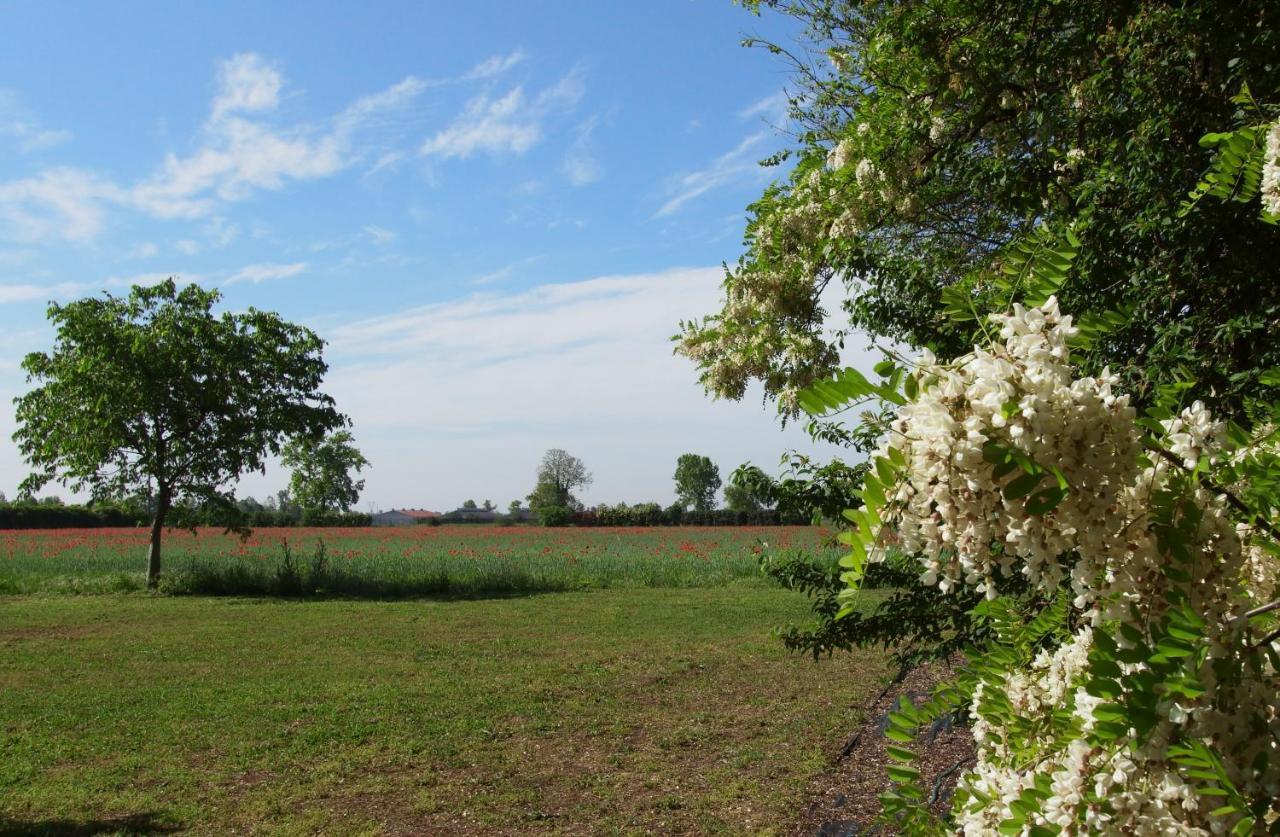 Agriturismo Fiorbello Montirone Екстериор снимка